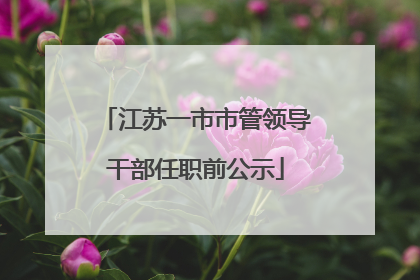 江苏一市市管领导干部任职前公示
