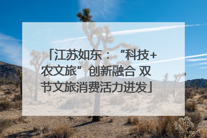江苏如东：“科技+农文旅”创新融合 双节文旅消费活力迸发