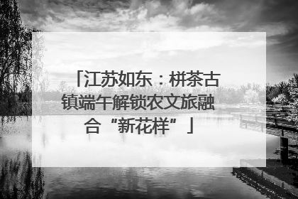 江苏如东：栟茶古镇端午解锁农文旅融合“新花样”