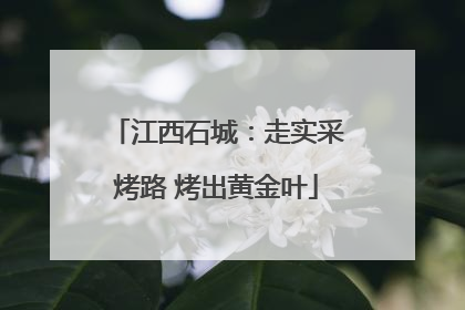 江西石城：走实采烤路 烤出黄金叶
