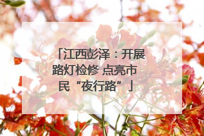 江西彭泽：开展路灯检修 点亮市民“夜行路”
