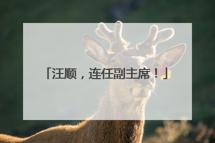 汪顺，连任副主席！