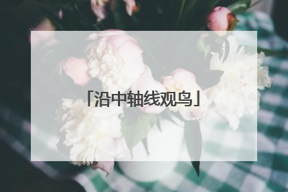 沿中轴线观鸟