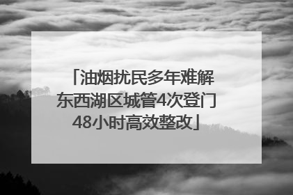 油烟扰民多年难解 东西湖区城管4次登门48小时高效整改