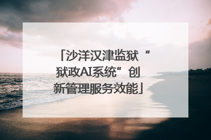 沙洋汉津监狱“狱政AI系统”创新管理服务效能