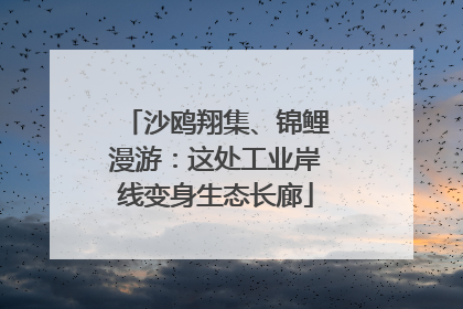 沙鸥翔集、锦鲤漫游：这处工业岸线变身生态长廊