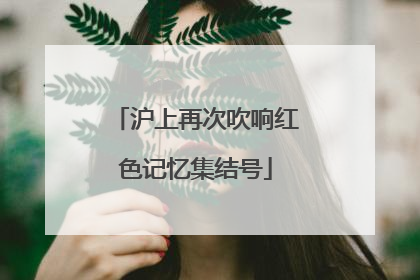 沪上再次吹响红色记忆集结号
