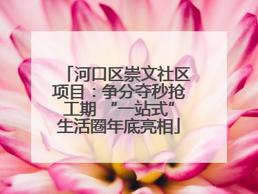 河口区崇文社区项目：争分夺秒抢工期 “一站式”生活圈年底亮相