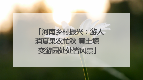 河南乡村振兴：游人消夏果农忙秋 黄土塬变游园处处皆风景