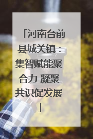 河南台前县城关镇：集智赋能聚合力 凝聚共识促发展