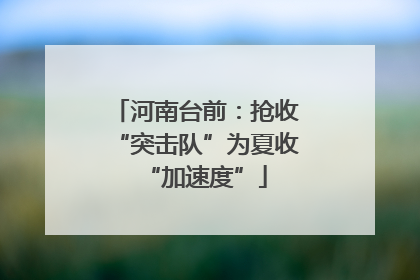 河南台前：抢收“突击队”为夏收“加速度”