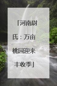 河南尉氏：万亩桃园迎来丰收季