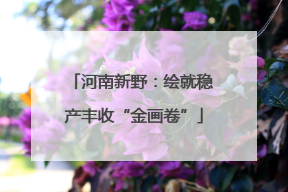 河南新野：绘就稳产丰收“金画卷”