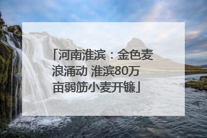 河南淮滨：金色麦浪涌动 淮滨80万亩弱筋小麦开镰