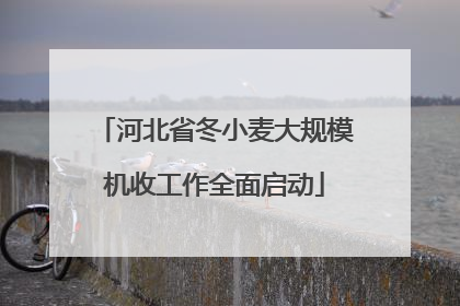 河北省冬小麦大规模机收工作全面启动
