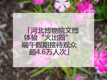 河北博物院文博体验“火出圈” 端午假期接待观众超4.6万人次