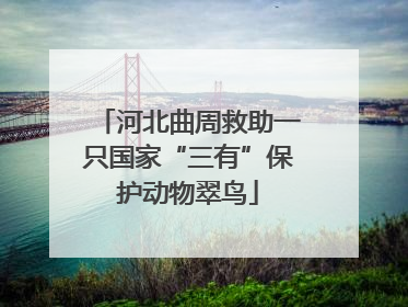 河北曲周救助一只国家“三有”保护动物翠鸟