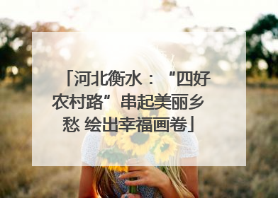 河北衡水：“四好农村路”串起美丽乡愁 绘出幸福画卷