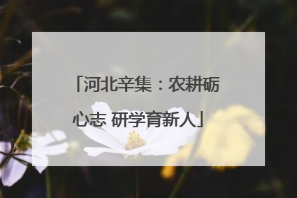 河北辛集：农耕砺心志 研学育新人