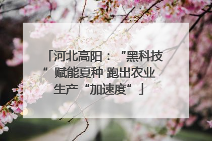 河北高阳：“黑科技”赋能夏种 跑出农业生产“加速度”