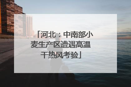 河北：中南部小麦生产区遭遇高温干热风考验
