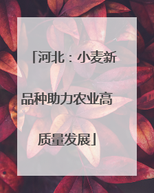 河北：小麦新品种助力农业高质量发展