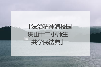 法治精神润校园 洪山十二小师生共学民法典