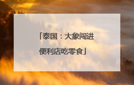 泰国：大象闯进便利店吃零食