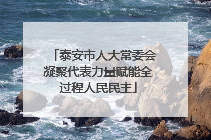 泰安市人大常委会凝聚代表力量赋能全过程人民民主