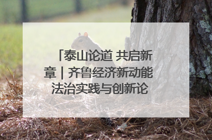 泰山论道 共启新章｜齐鲁经济新动能 法治实践与创新论坛成功举办