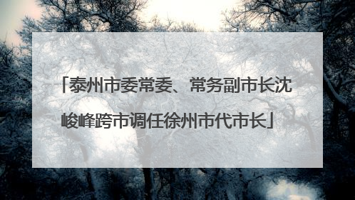 泰州市委常委、常务副市长沈峻峰跨市调任徐州市代市长