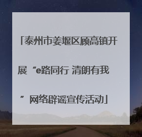 泰州市姜堰区顾高镇开展“e路同行 清朗有我”网络辟谣宣传活动