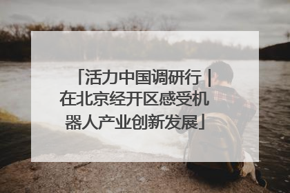 活力中国调研行｜在北京经开区感受机器人产业创新发展