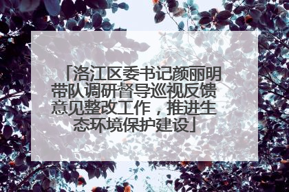 洛江区委书记颜丽明带队调研督导巡视反馈意见整改工作，推进生态环境保护建设