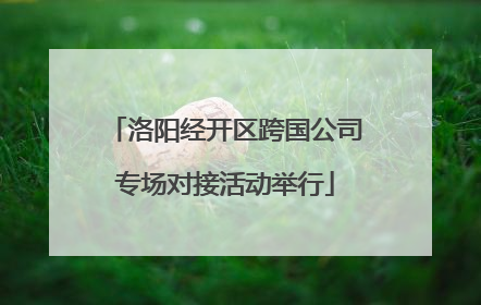 洛阳经开区跨国公司专场对接活动举行