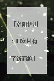 洛阳伊川：旧寨村有了新面貌