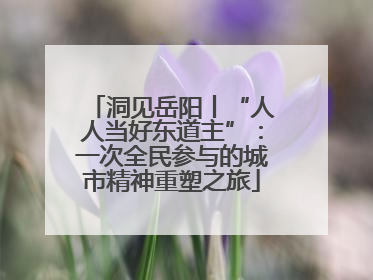 洞见岳阳丨“人人当好东道主”：一次全民参与的城市精神重塑之旅