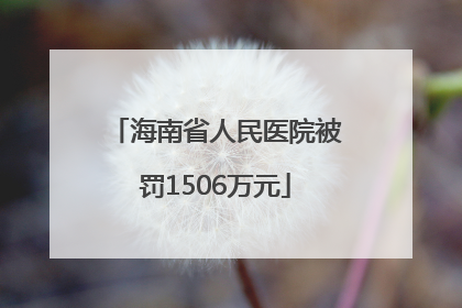 海南省人民医院被罚1506万元