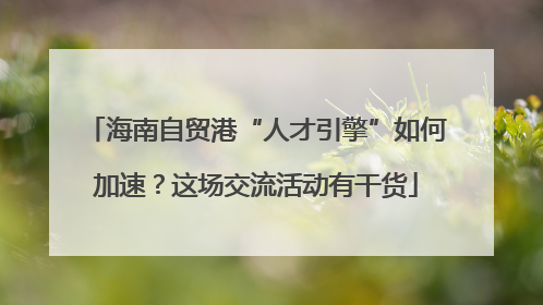 海南自贸港“人才引擎”如何加速？这场交流活动有干货