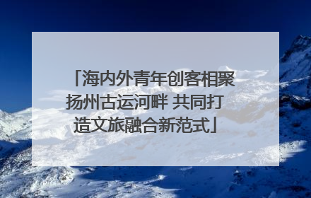 海内外青年创客相聚扬州古运河畔 共同打造文旅融合新范式