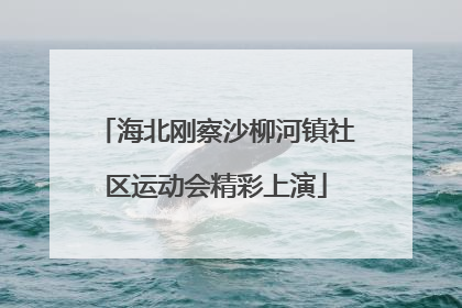 海北刚察沙柳河镇社区运动会精彩上演