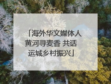 海外华文媒体人黄河寻麦香 共话运城乡村振兴