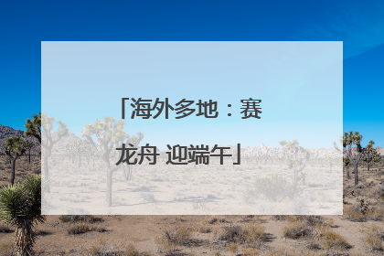 海外多地：赛龙舟 迎端午