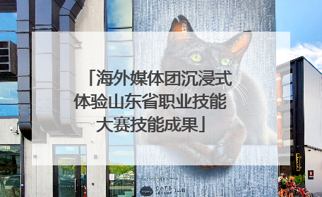 海外媒体团沉浸式体验山东省职业技能大赛技能成果