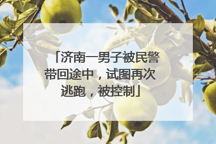 济南一男子被民警带回途中，试图再次逃跑，被控制