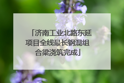 济南工业北路东延项目全线最长钢混组合梁浇筑完成