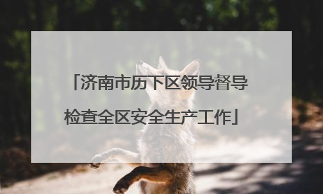 济南市历下区领导督导检查全区安全生产工作