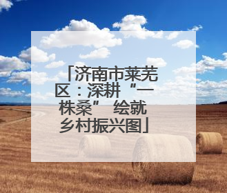 济南市莱芜区：深耕“一株桑” 绘就乡村振兴图