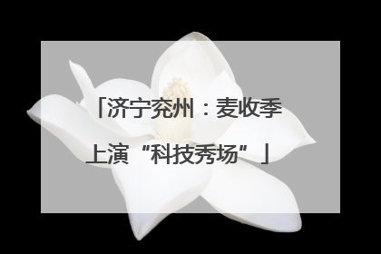 济宁兖州：麦收季上演“科技秀场”