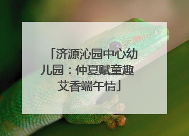 济源沁园中心幼儿园：仲夏赋童趣 艾香端午情